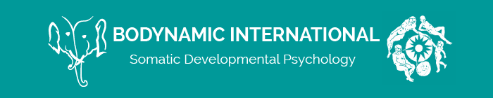 Bodynamic International logo