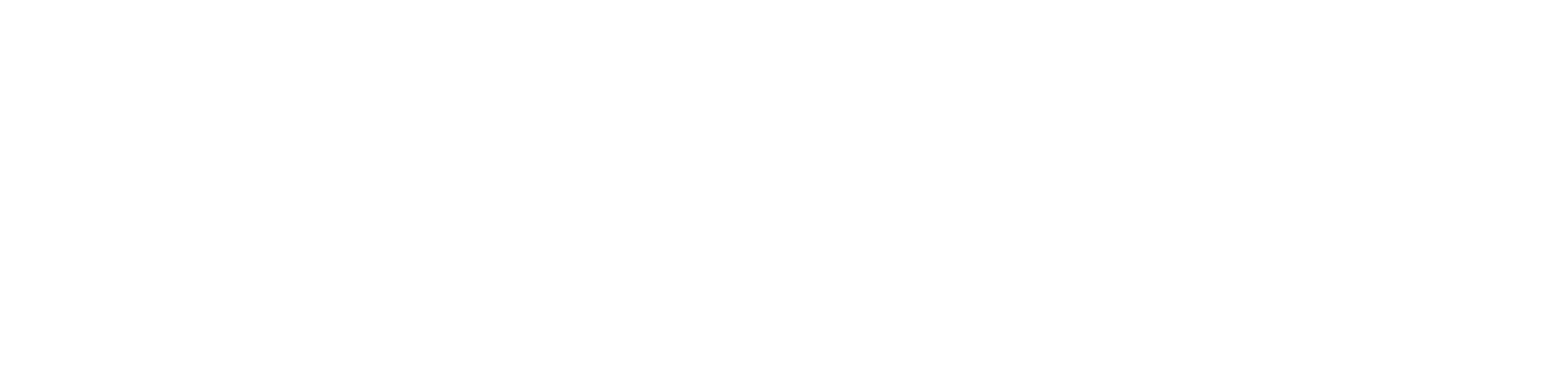 Brain-centric logo
