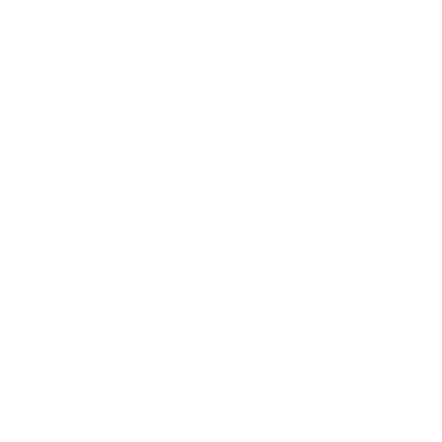 Career Aviators logo
