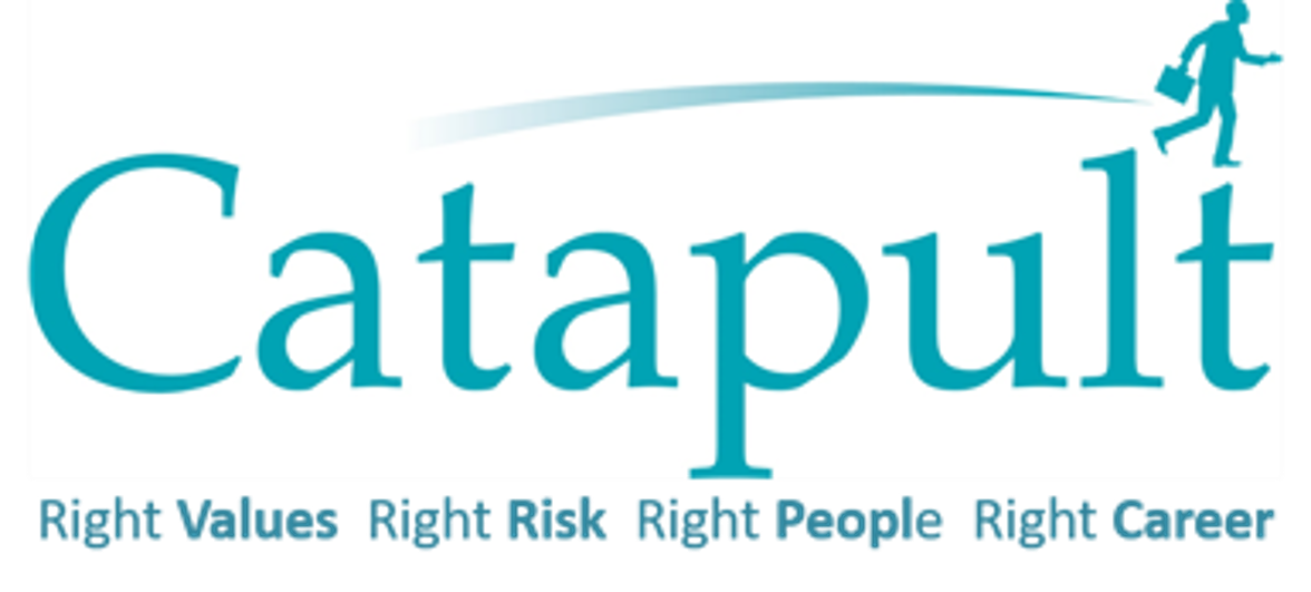 Catapult Solutions Limited logo