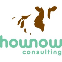 HowNow Consulting logo