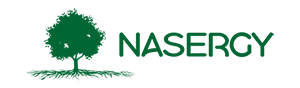 Nasergy logo