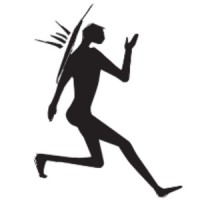 Natural Success logo