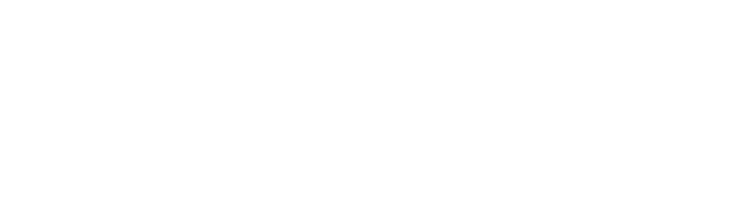 TD Coach logo